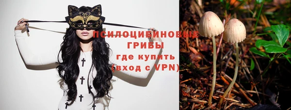 спайс Алексин