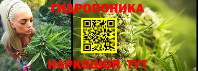 метадон Дубна