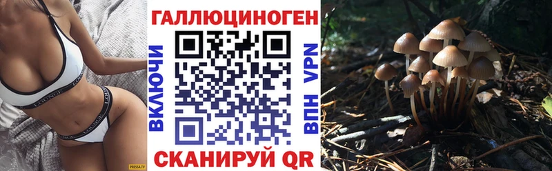 продажа наркотиков  Кохма  нарко площадка какой сайт  Галлюциногенные грибы MAGIC MUSHROOMS 