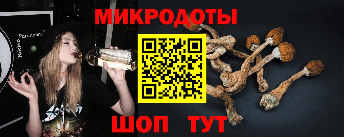 Галлюциногенные грибы прущие грибы Кохма