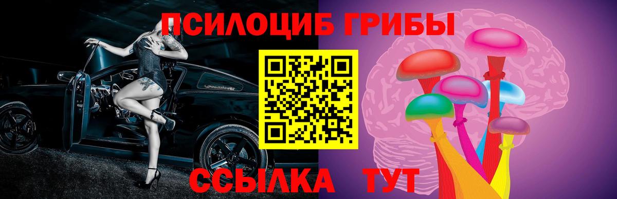 Кохма  Галлюциногенные грибы Psilocybine cubensis  Вход с VPN  Псилоцибиновые грибы ЛСД 
